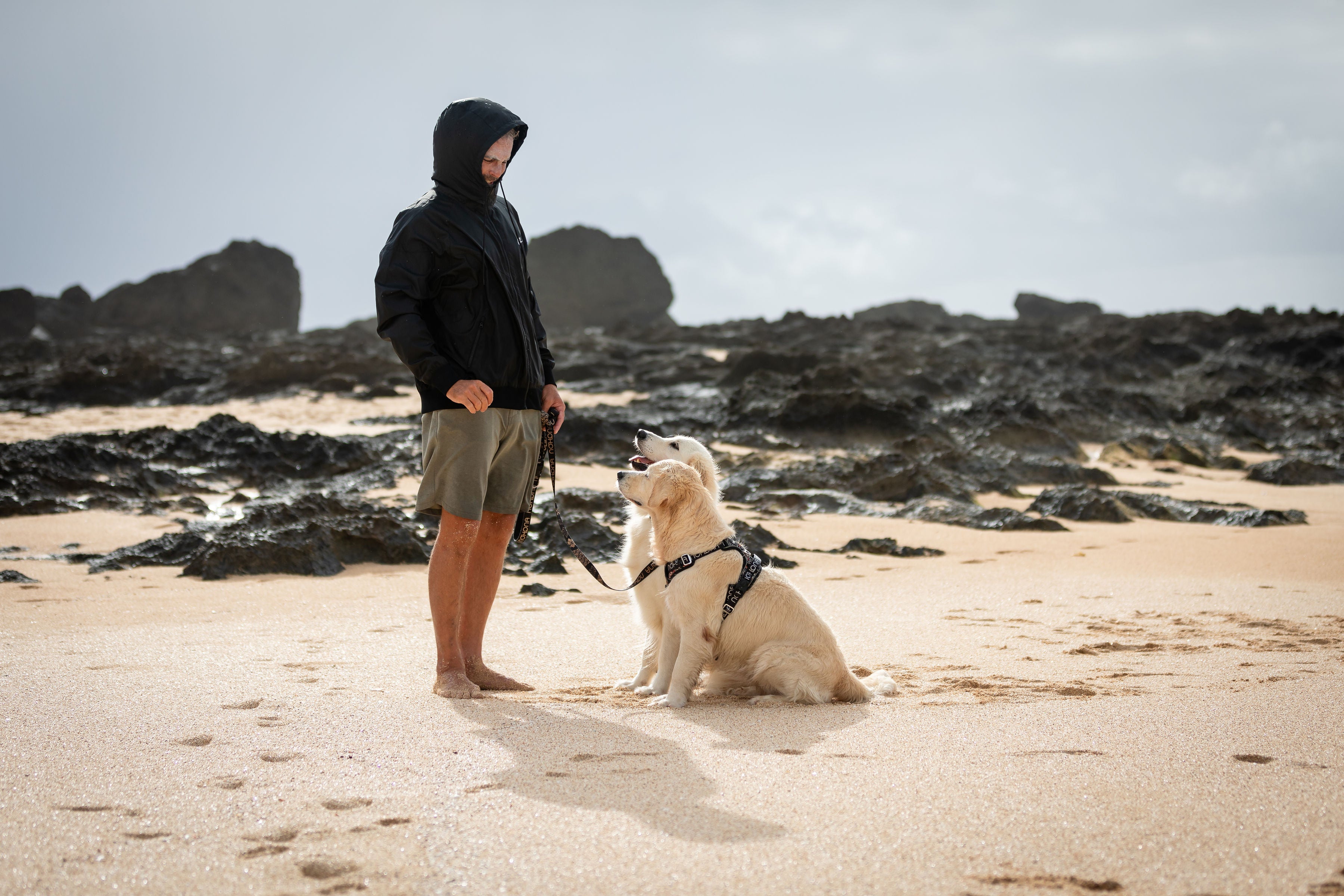 Nohona Adventure Multi-Purpose Leash