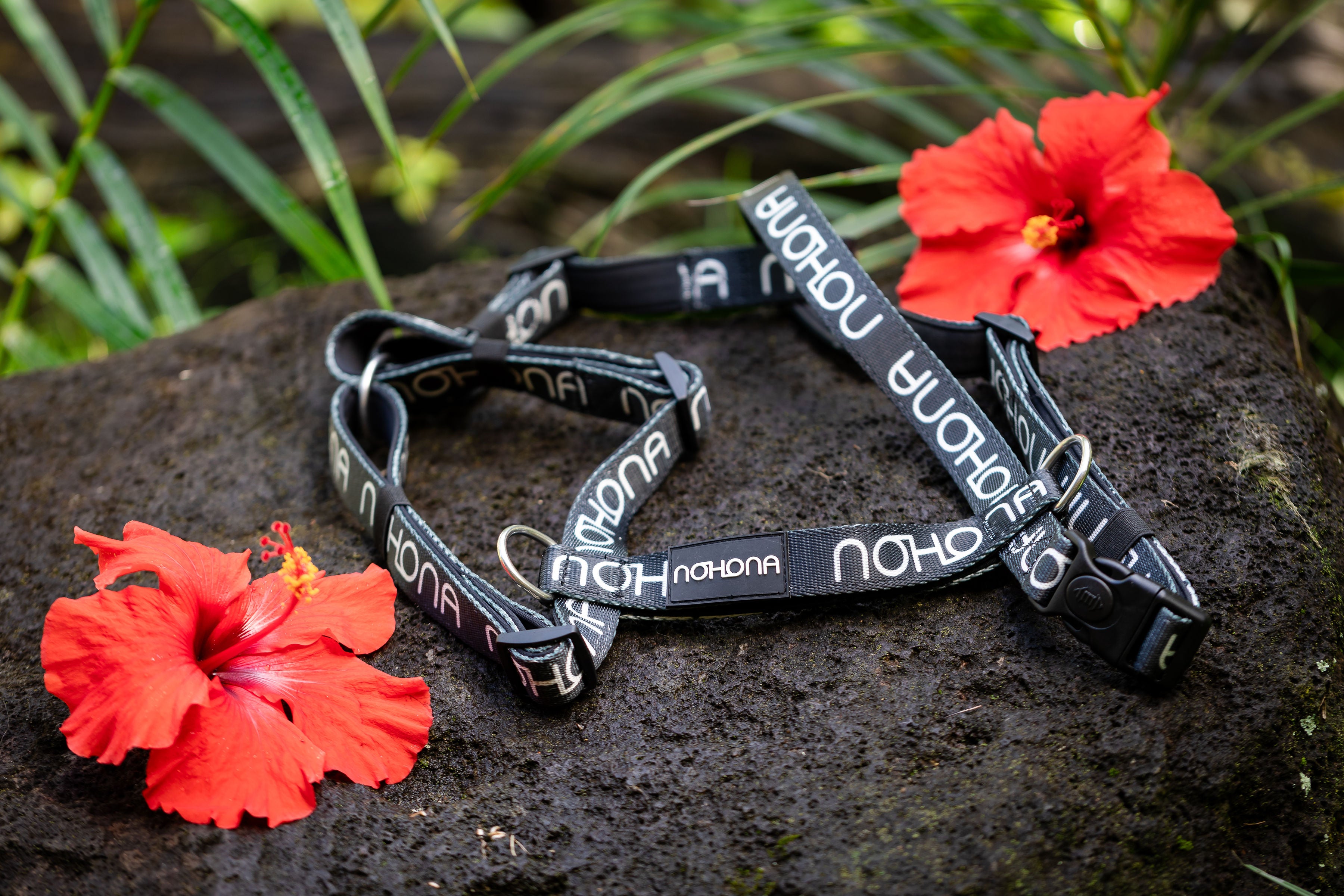 Black dog collar with 'HONOLUA' branding on a rock with red flowers.